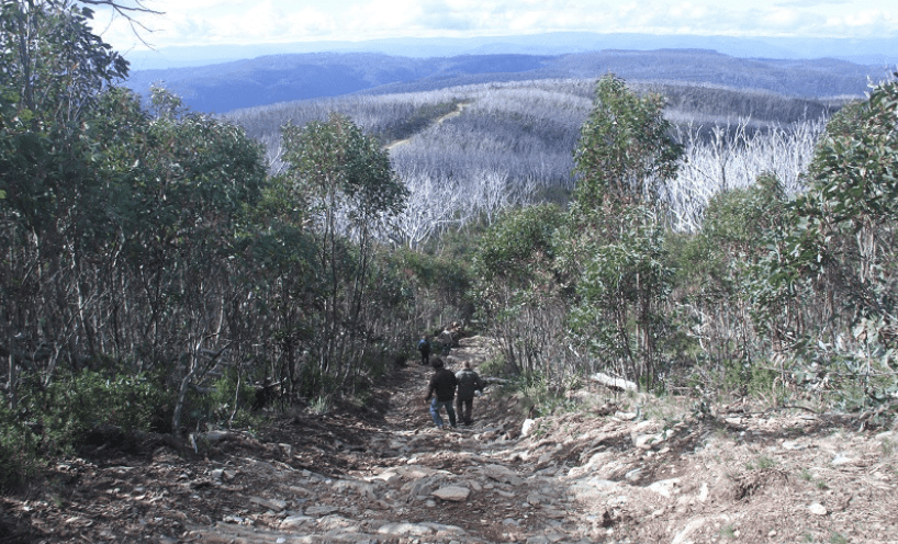 Taungurung Gunaikurnai boundary