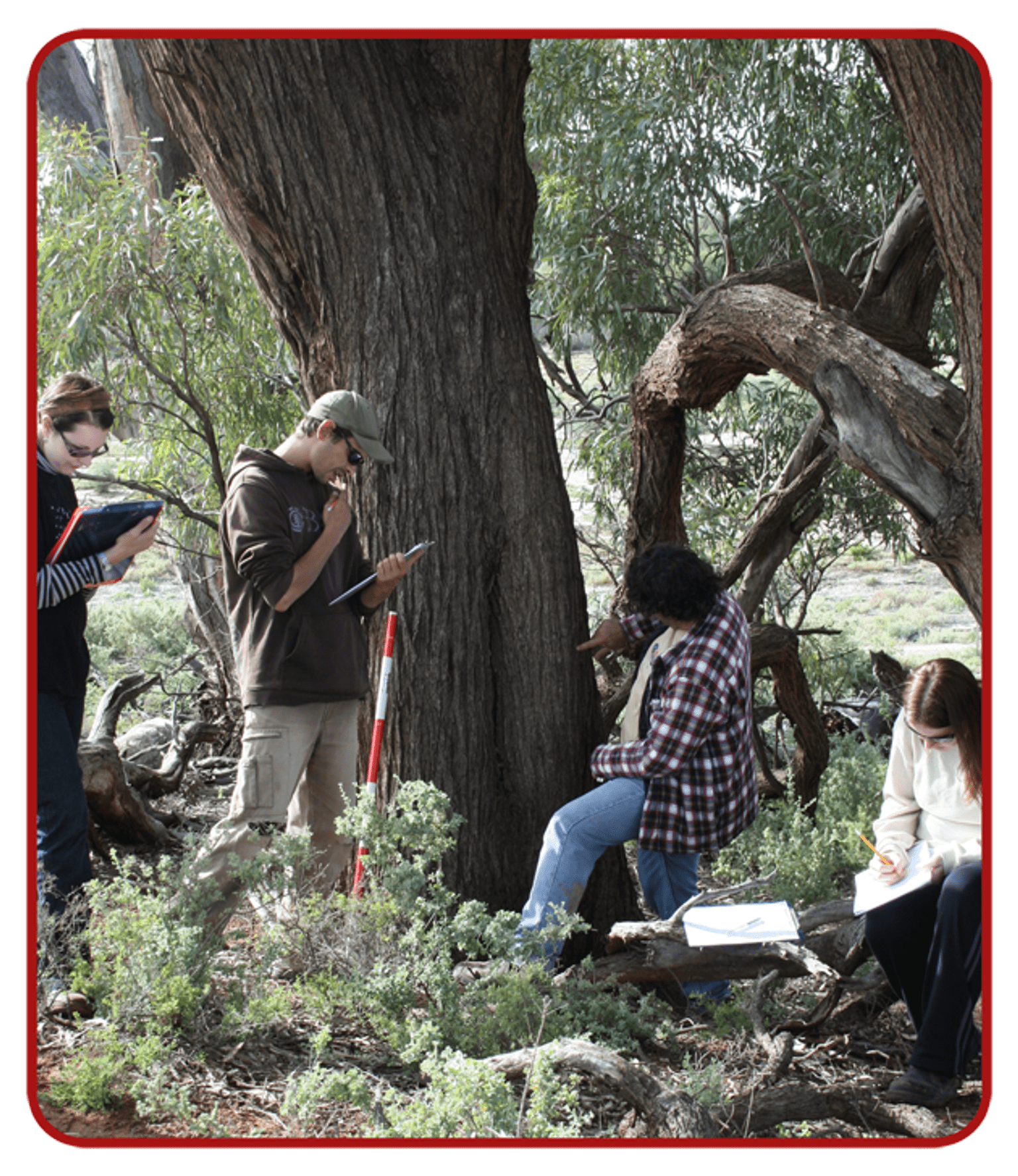 ACHM workshop participants doing simulated fieldwork A photo showing workshop participants doing fieldwork simulations, investigating a potential scarred tree