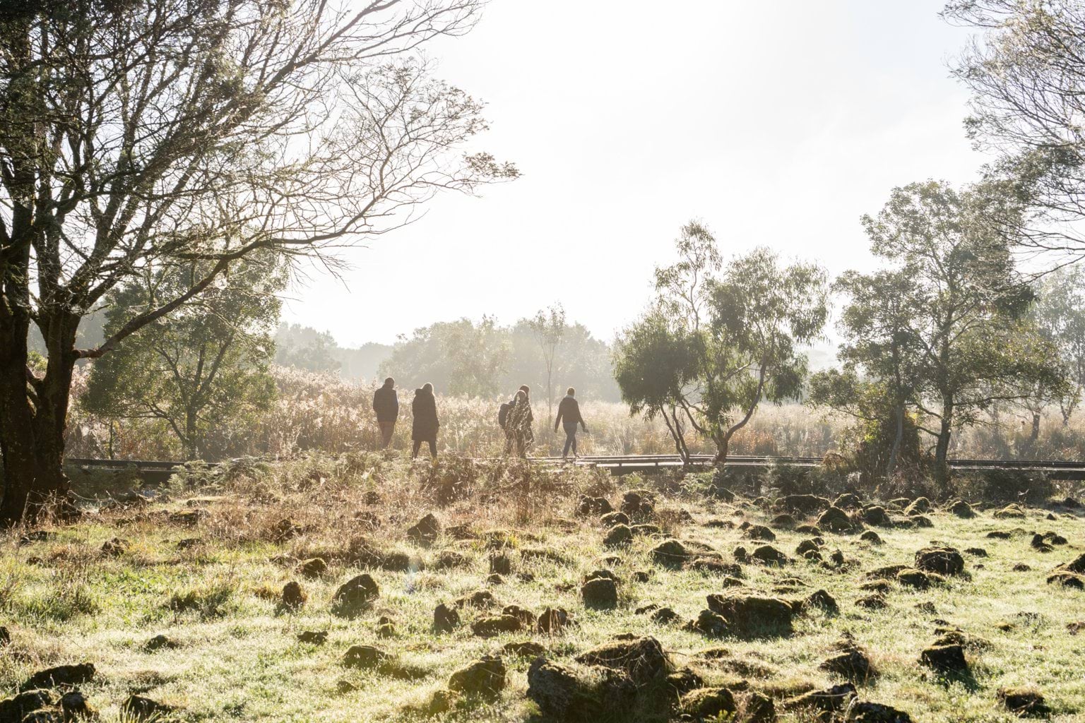 Visitors to the Budj Bim Cultural Landscape
